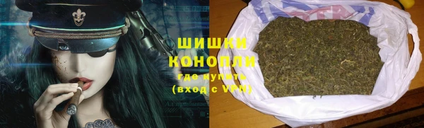 шишки Абинск