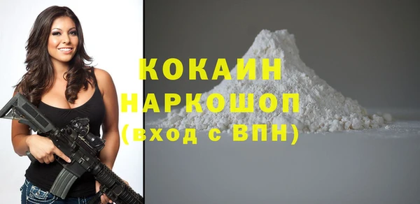 шишки Абинск