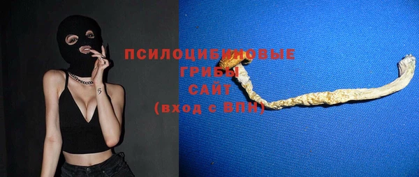 шишки Абдулино