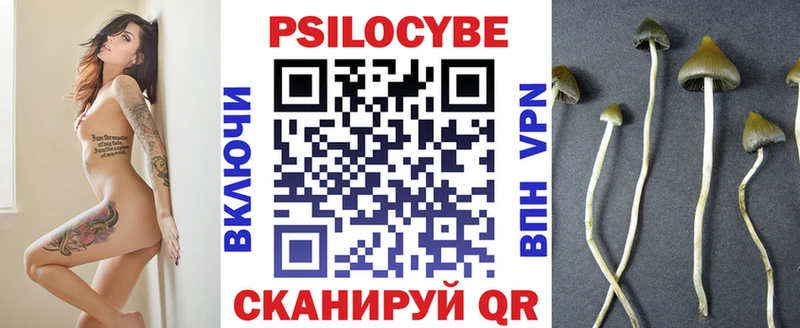 Псилоцибиновые грибы MAGIC MUSHROOMS  Таганрог 